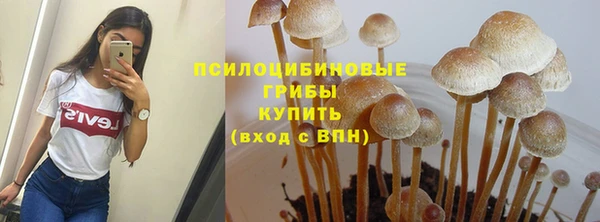 не бодяженный Михайлов