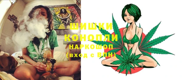 ПСИЛОЦИБИНОВЫЕ ГРИБЫ Михайловка