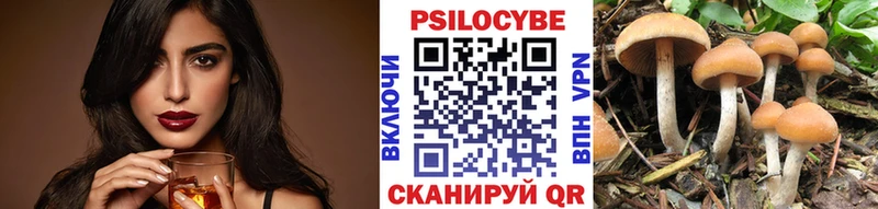 Купить где  Карачев  Галлюциногенные грибы Cubensis 